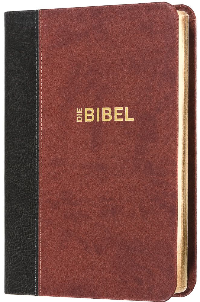 Die Bibel - Schlachter 2000