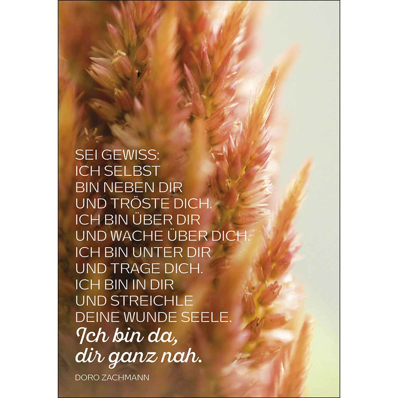 Postkarte 'Sei gewiss' 4 Ex.