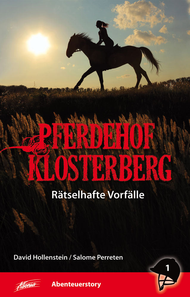 Rätselhafte Vorfälle [1]