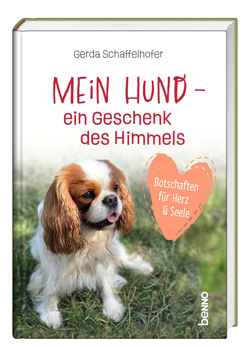 Mein Hund - ein Geschenk des Himmels