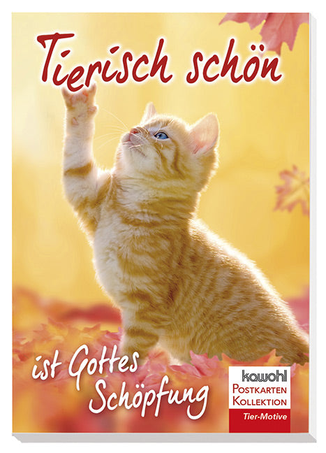 Tierisch schön ist Gottes Schöpfung