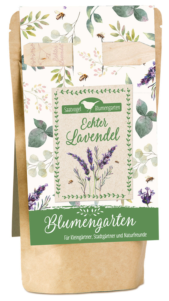 Echter Lavendel