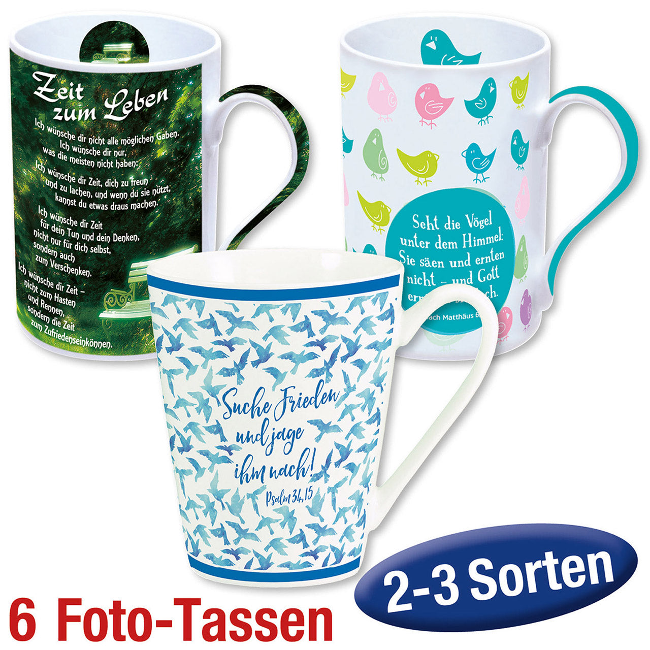 Paket 'Fototassen' 6 Ex. gemischt