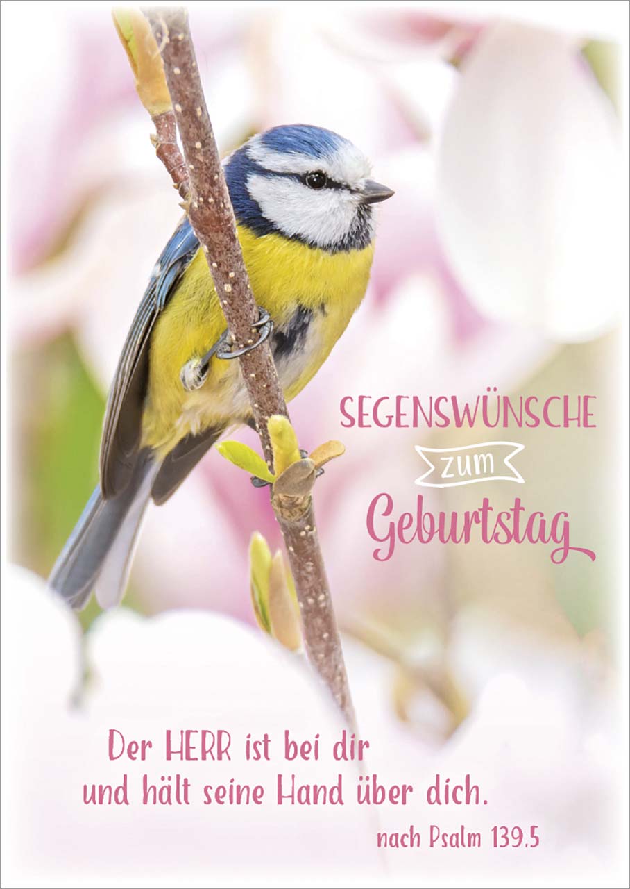 Postkarte 'Segensw�nsche zum Geburtstag'