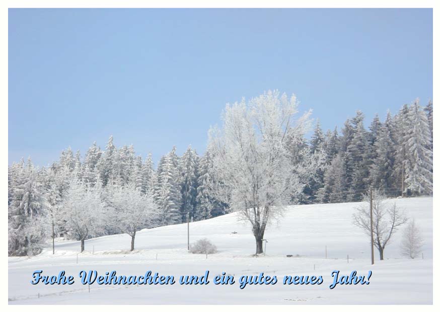 Faltkarte 6 Ex. 'Winterwald'