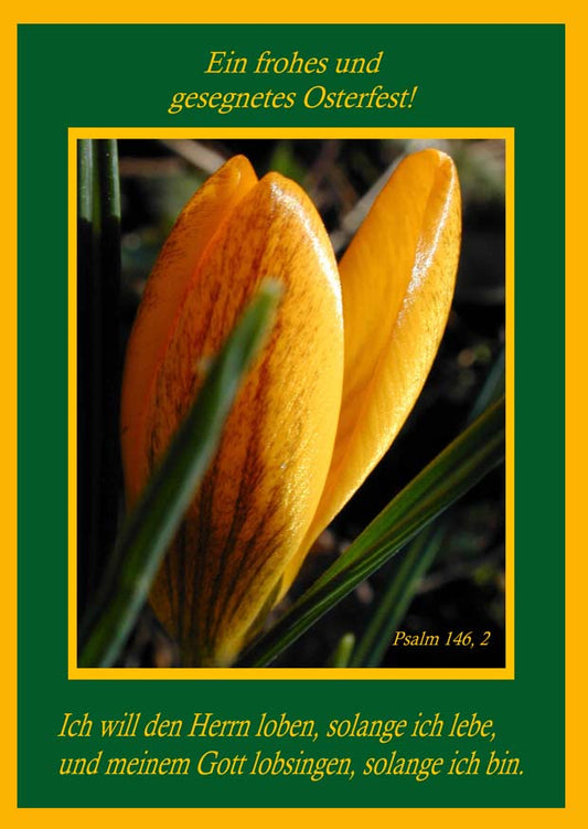 Faltkarte 6 St�ck 'Ostern'