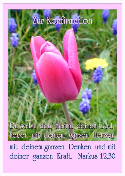 Faltkarte 6 St�ck 'Konfirmation Den ...