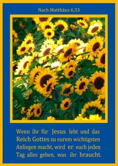 Faltkarte 6 St�ck 'F�r Jesus lebt'