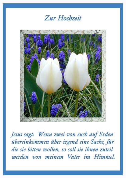 Faltkarte 6 St�ck Zur Hochzeit 2 Tulpen