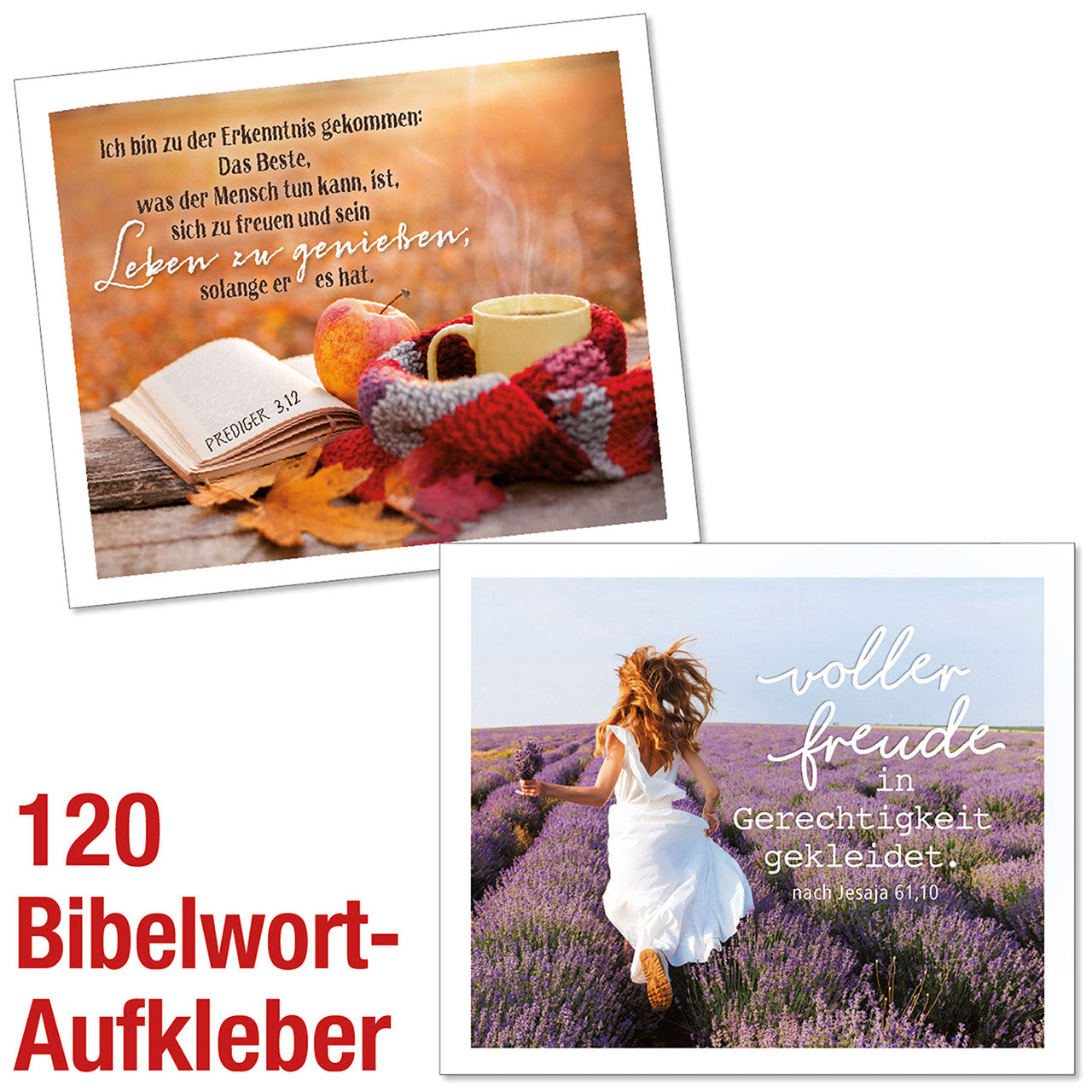 Paket 'Bibelwort-Aufkleber' 120 Ex.