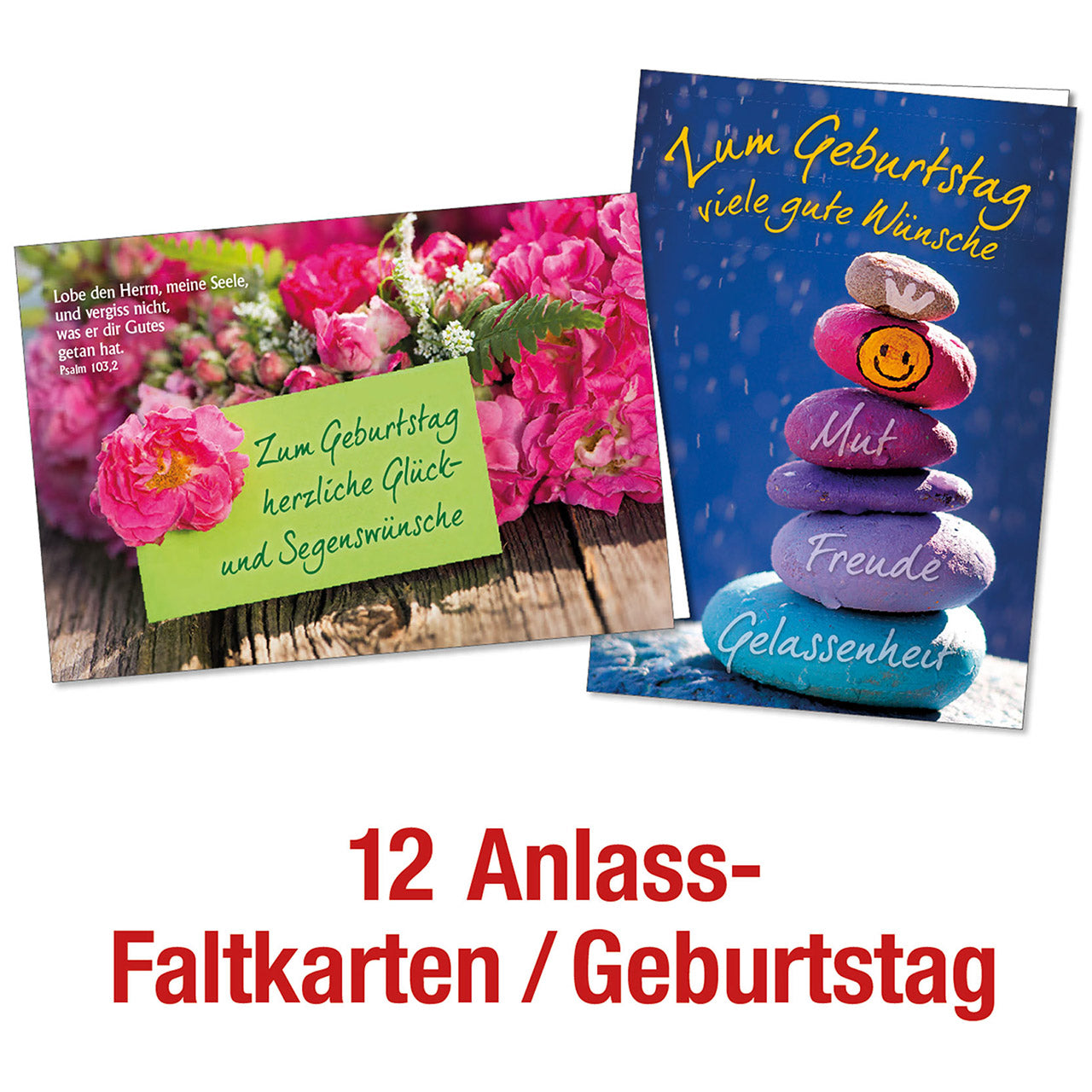 Paket 'Faltkarten Geburtstag' 12 Ex.