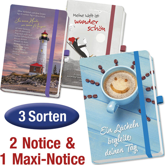Paket 'Notizbücher' 3-teilig