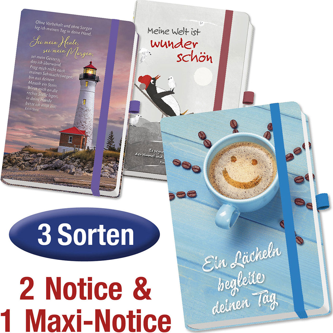 Paket 'Notizbücher' 3-teilig