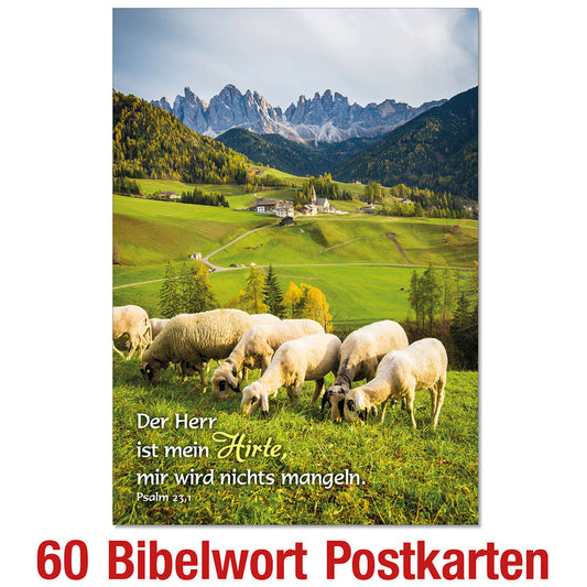 Paket 'Bibelwort-Postkarten' 60 Ex.