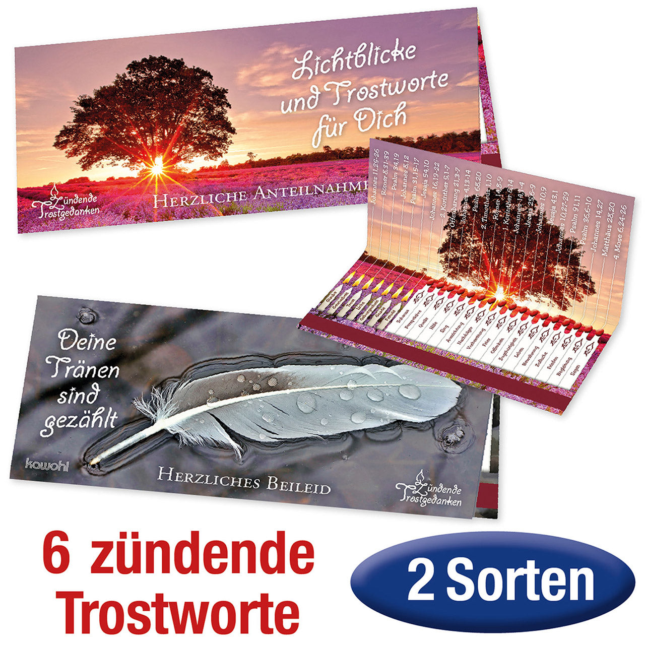 Paket 'Zündende Trostworte' 6 Ex.