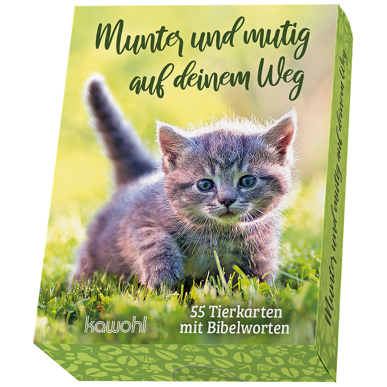 Munter und mutig auf deinem Weg (Box)