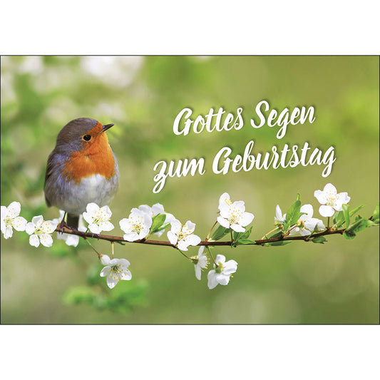 Postkarte 'Gottes Segen zum Geburtstag'