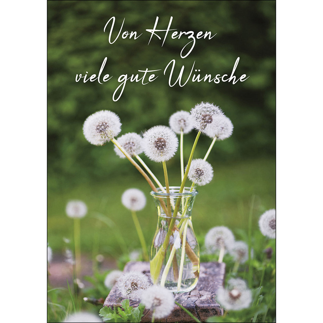 Postkarte 'Von Herzen viele gute W�nsche' 4 Ex.