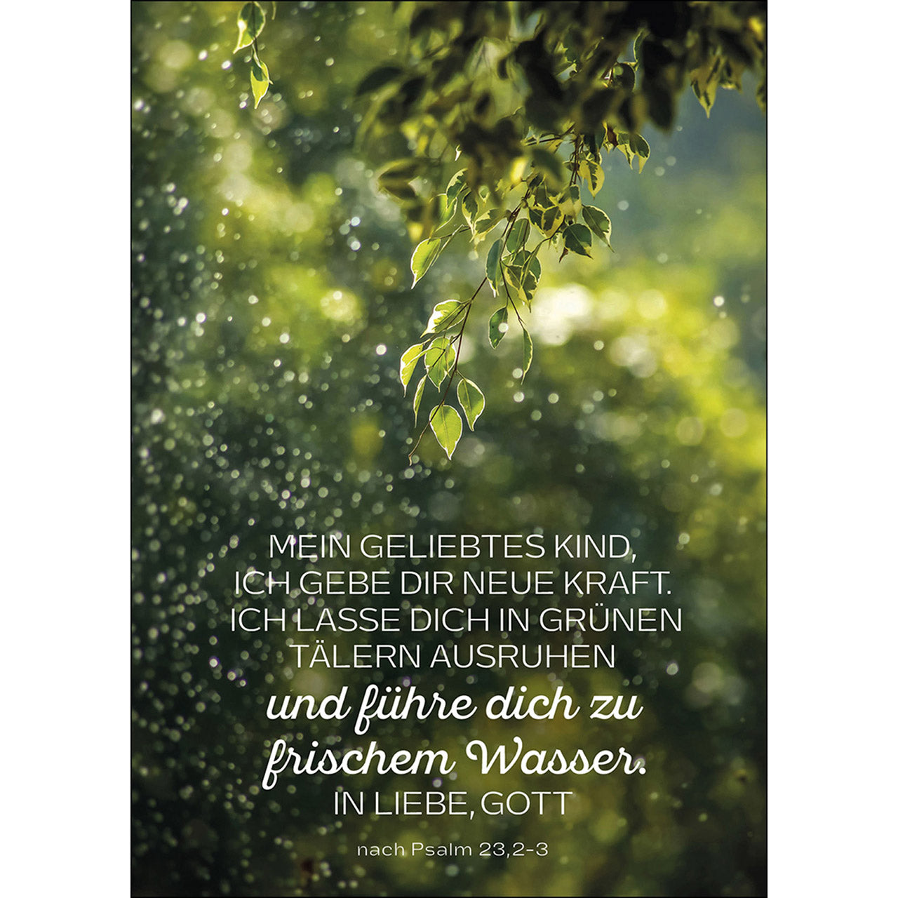 Postkarte 'Mein geliebtes Kind' 4 Ex.