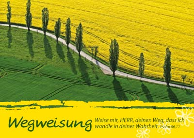 Postkarte 'Wegweisung' 12 Ex.