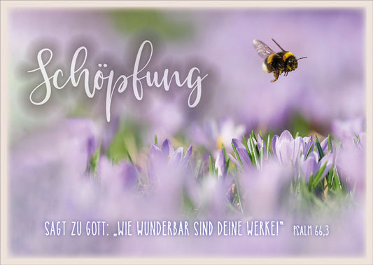 Postkarte 'Sch�pfung' 12 Ex.